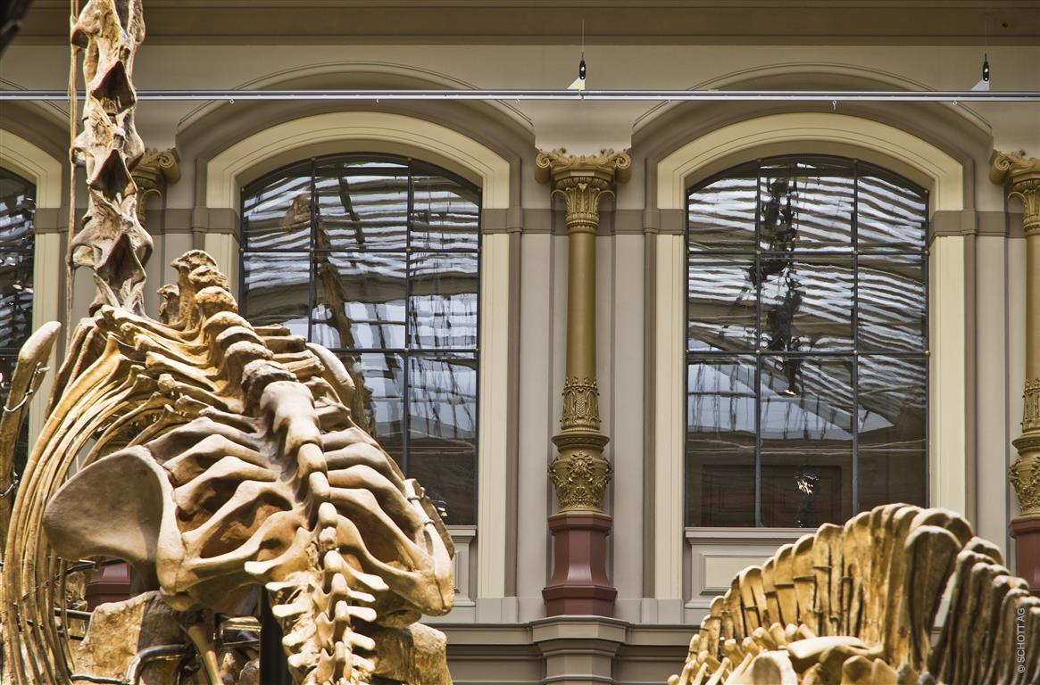 Tikana restoration glass at the natural history museum in Berlin